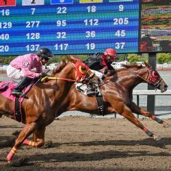 Oregon Racing Commission : Racing and Betting : .